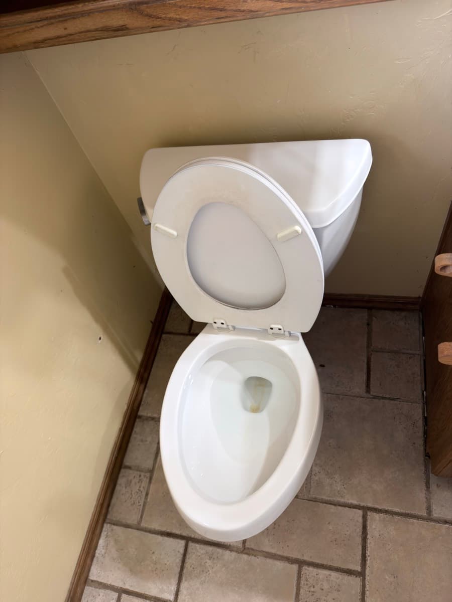 Toilet and bathroom clean — before