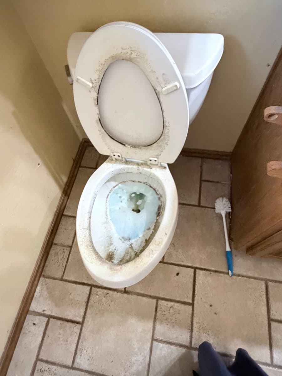 Toilet and bathroom clean — after